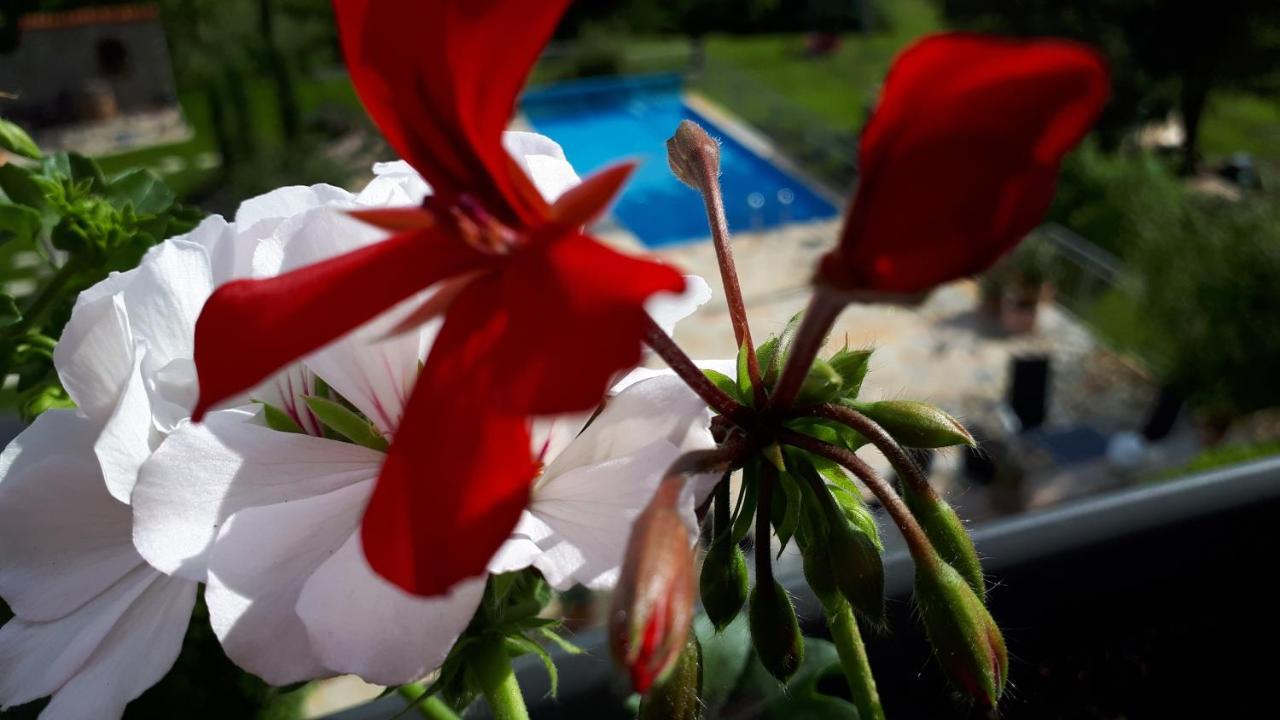 Ferienwohnung Pension Am Weinberg Mainstockheim Екстер'єр фото